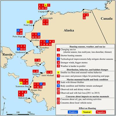 Evaluating the Effects of Climate Change on Indigenous Marine Mammal Hunting in Northern and Western Alaska Using Traditional Knowledge